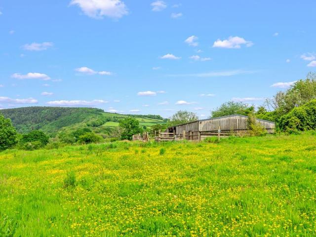 Land for sale in Weir Quay, Devon