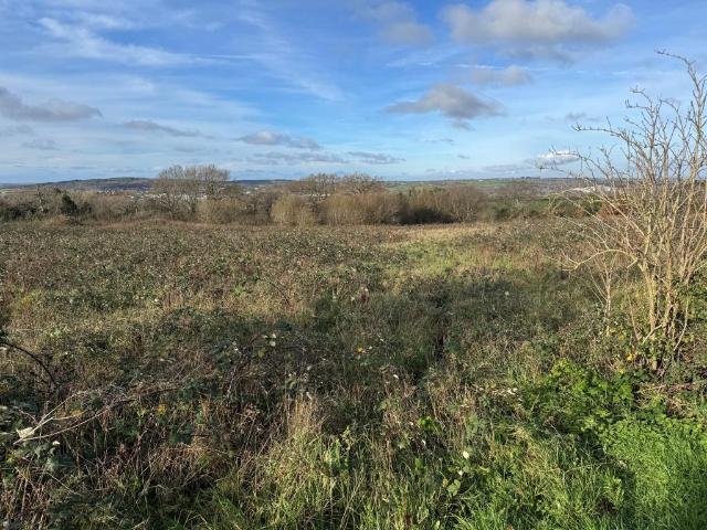 Land for sale in Pan Meadows, Shide
