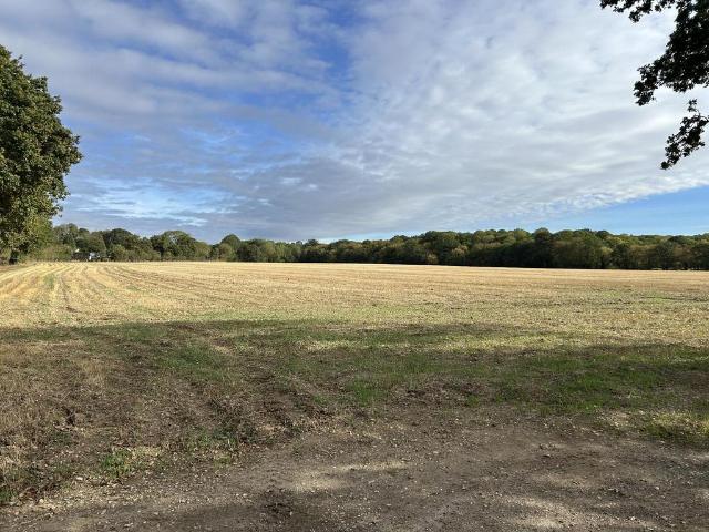 Land for sale in Chelmsford, Essex