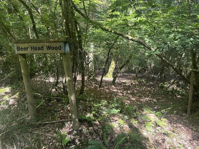 Land for sale in Budlake, Devon