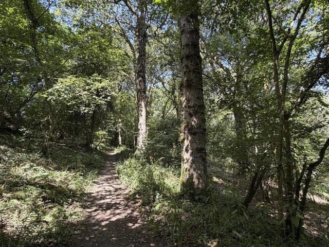 Land for sale in Kentisbury, Devon