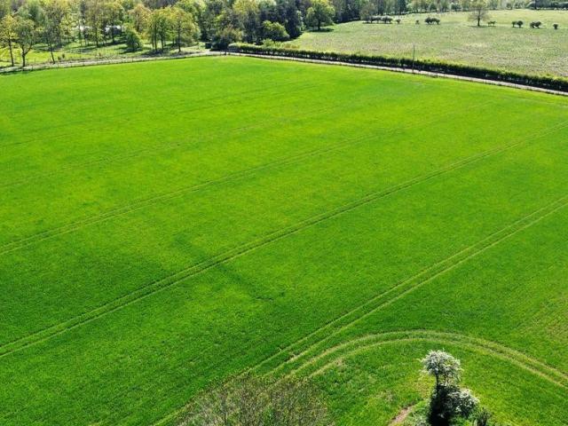Land for sale in Barholm, Lincolnshire