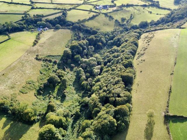 Land for sale in Llanon, Wales