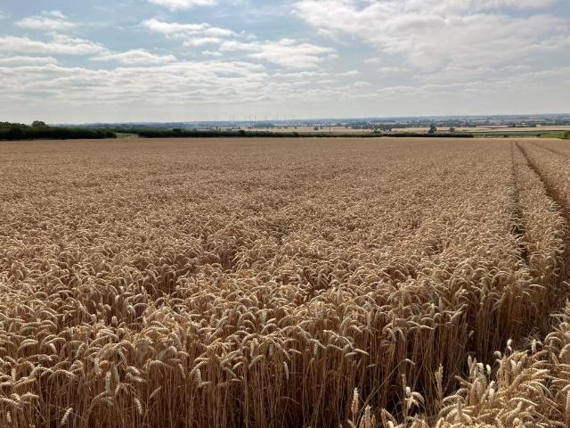 Land for rent in East Riding Of Yorkshire
