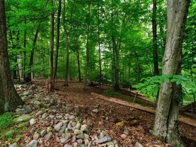 Land for sale in Suffern