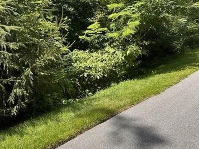 Land for sale in Avery, North Carolina