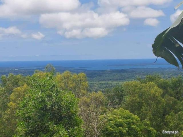 FARM LOT FOR SALE WITH OVERLOOKING VIEW OF OCEAN IN IBA ZAMBALES