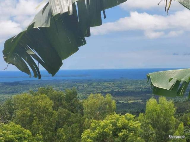 FARM LOT FOR SALE WITH OVERLOOKING VIEW OF OCEAN IN IBA ZAMBALES