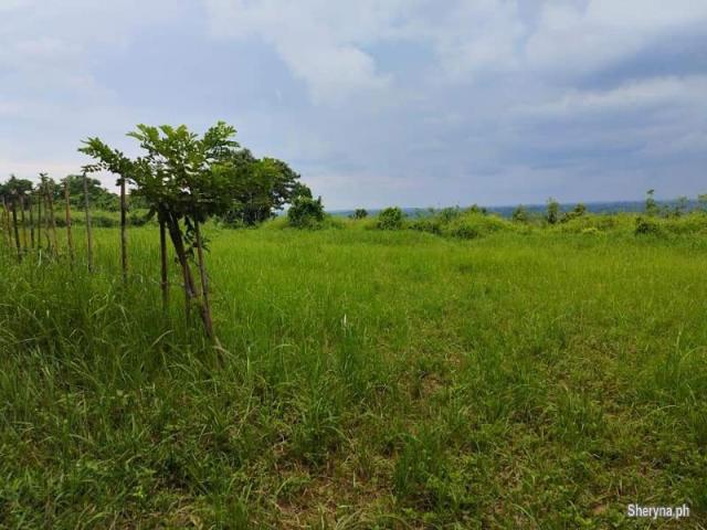 FARM LOT FOR SALE WITH OVERLOOKING VIEW OF OCEAN IN IBA ZAMBALES