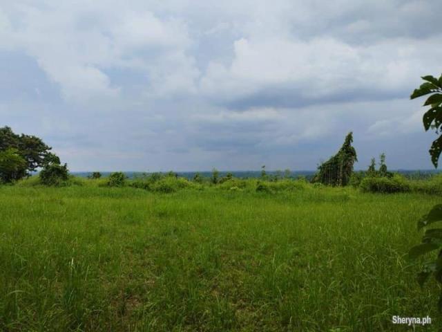 FARM LOT FOR SALE WITH OVERLOOKING VIEW OF OCEAN IN IBA ZAMBALES