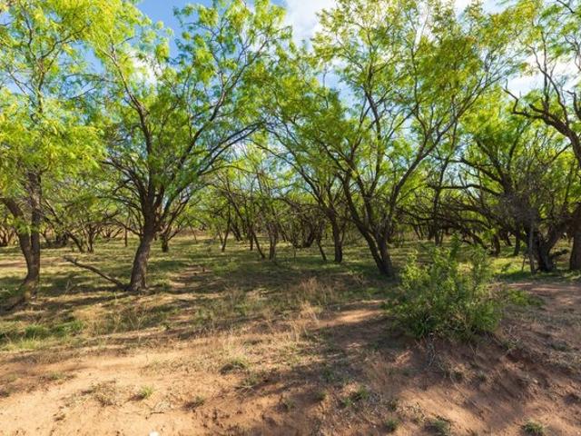 Land for sale in Haskell, Texas
