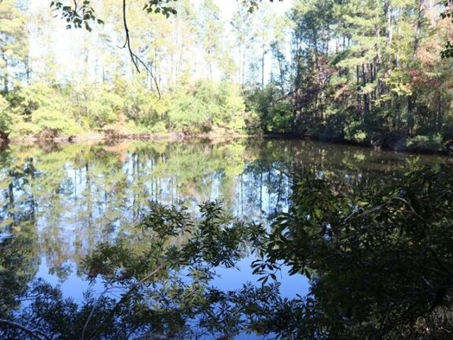 Land for sale in Hemphill, Texas