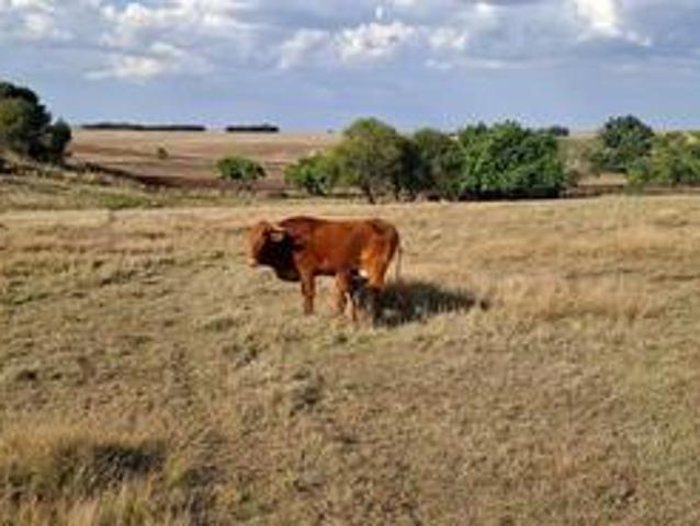 Farm for sale in Gert Sibande, Mpumalanga