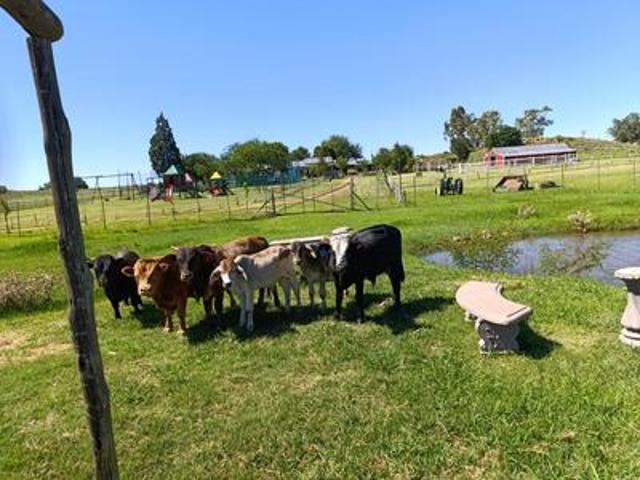 Farm for sale in Midvaal, Gauteng