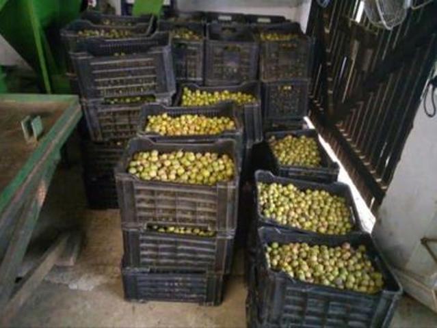 Farm for sale in Ugu District Municipality, Kwazulu-natal