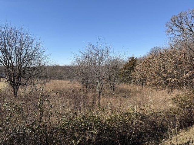 Land for sale in Willard, Missouri