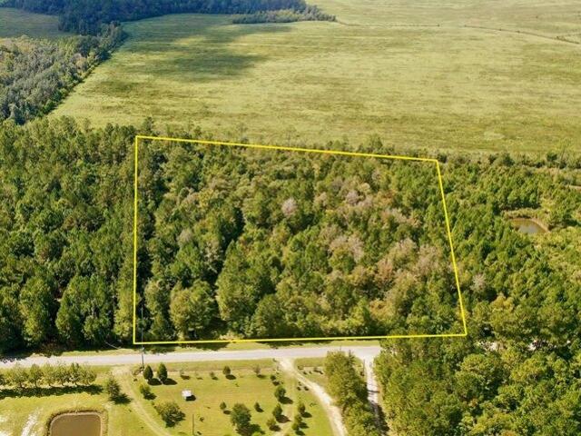 Land for sale in Wewahitchka, Florida