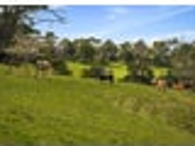 House for sale in Kawau Island