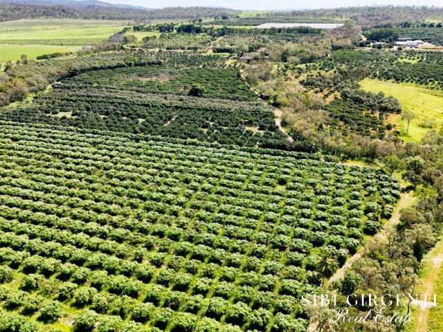 Property for sale in Arriga, Mareeba Shire