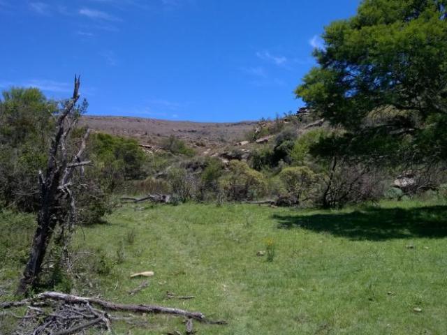 Farm for sale in Inkwanca, Eastern Cape