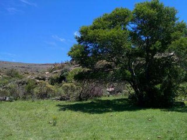 Farm for sale in Inkwanca, Eastern Cape