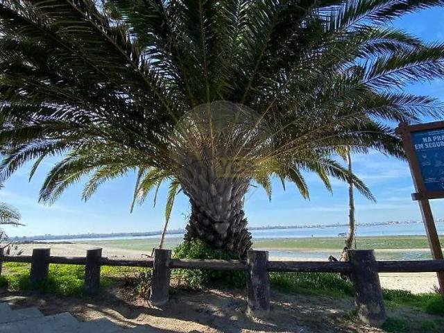 Estúdio alugar em Moita, Setúbal