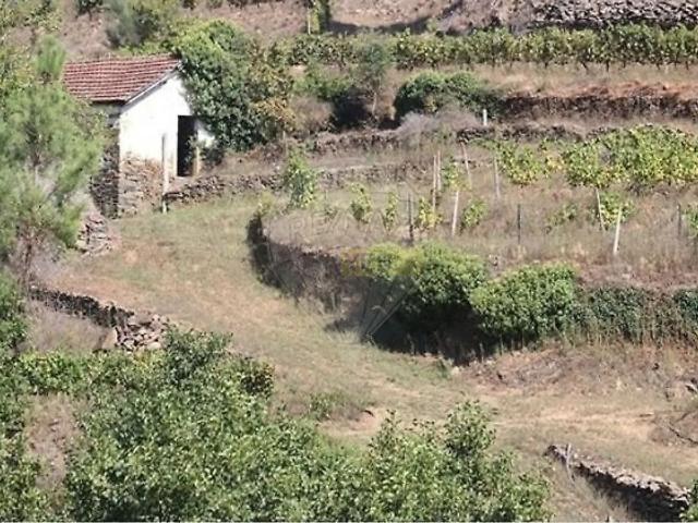 Estúdio alugar em Baião, Porto