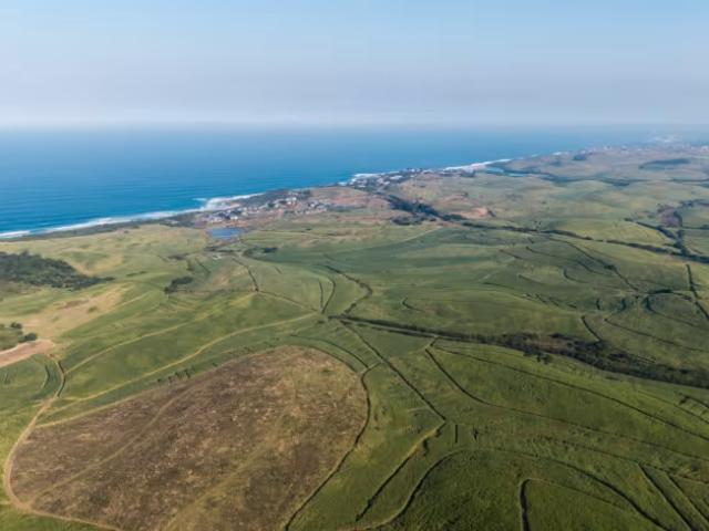 Farm for sale