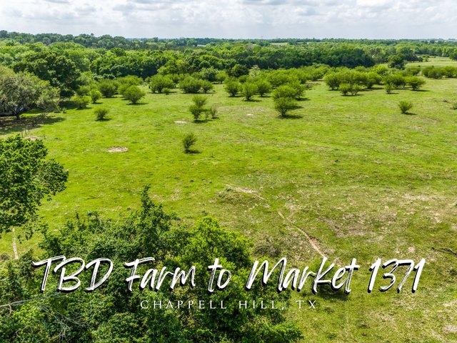 Land for sale in Chappell Hill, Texas