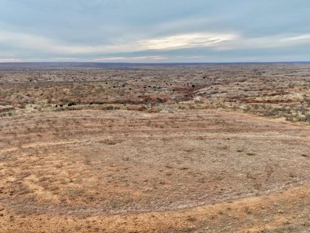 Farm for sale in Cee Vee, Texas