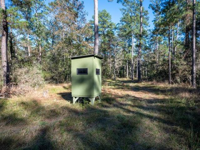 Farm for sale in Chester, Texas
