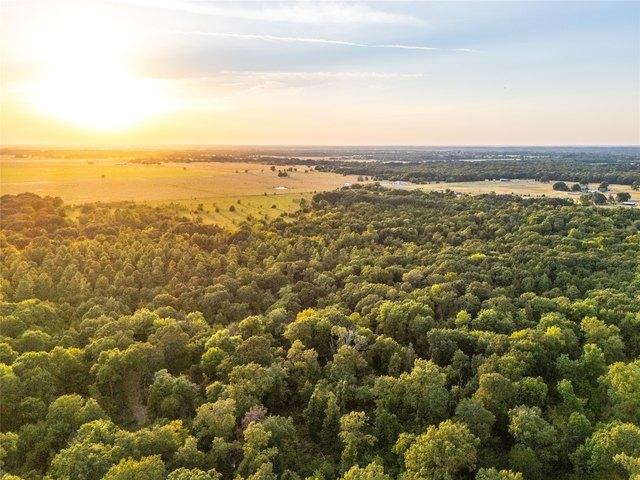 Land for sale in Lamar, Texas