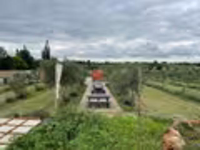 Farm for sale