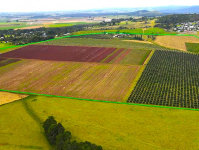 Acreage for sale in Tablelands, Queensland