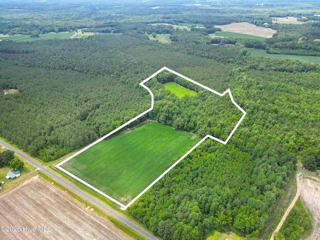 Land for sale in Clarkton, North Carolina