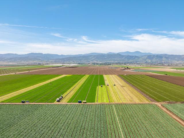 Farm for sale in King City, California