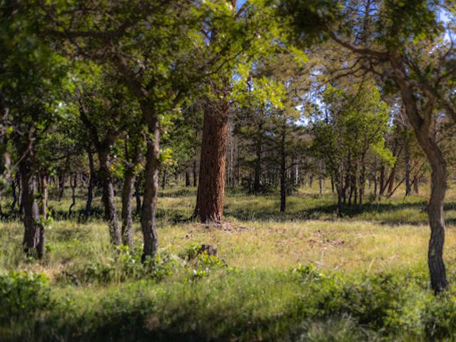 Farm for sale in Colorado