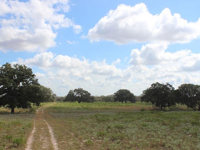 Farm for sale in La Vernia, Wilson County
