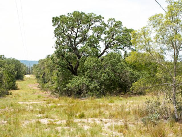 Farm for sale in Bandera, Texas