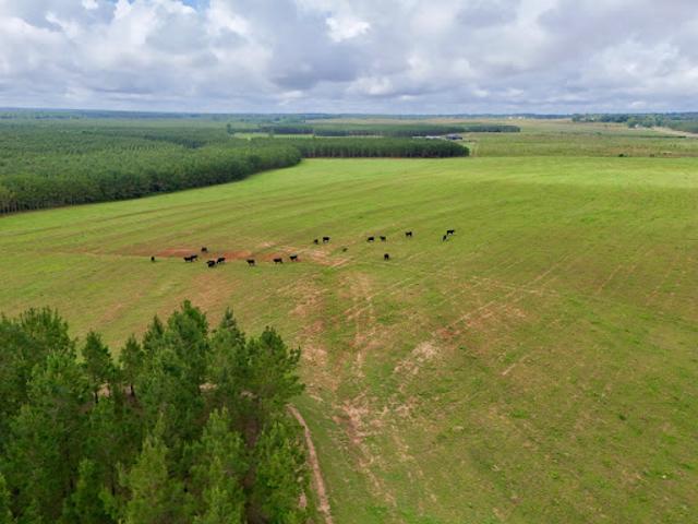 Farm for sale in Dale, Alabama