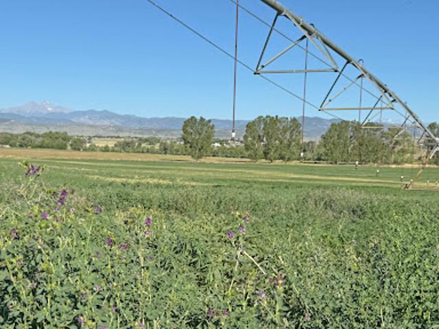 Farm for sale in Berthoud, Larimer County