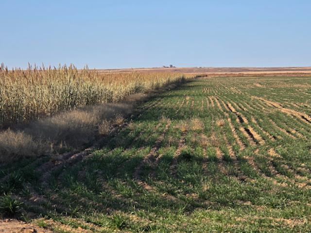 Farm for sale in Haswell, Colorado