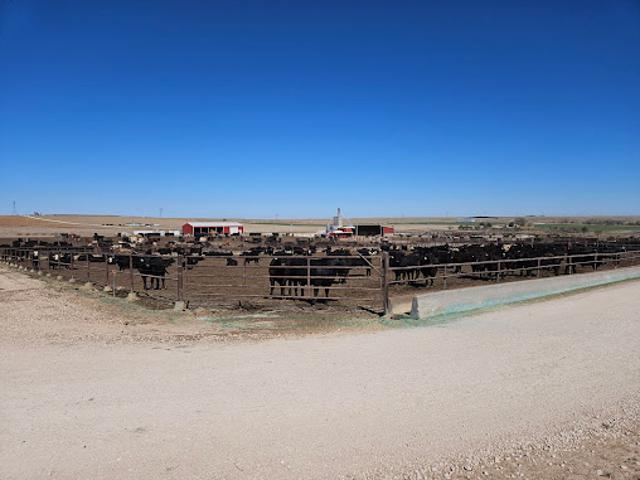 Farm for sale in Scott City, Scott County