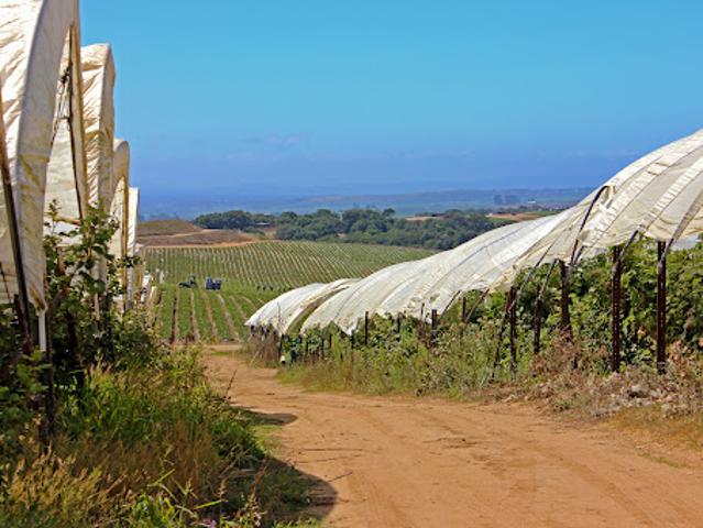 Farm for sale in Salinas, California