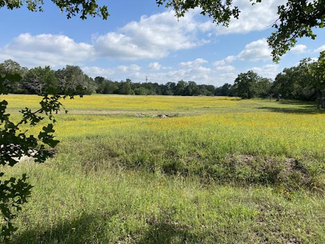 Farm for sale in Carmine, Texas