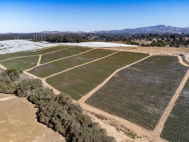 Land for sale in Salinas, California