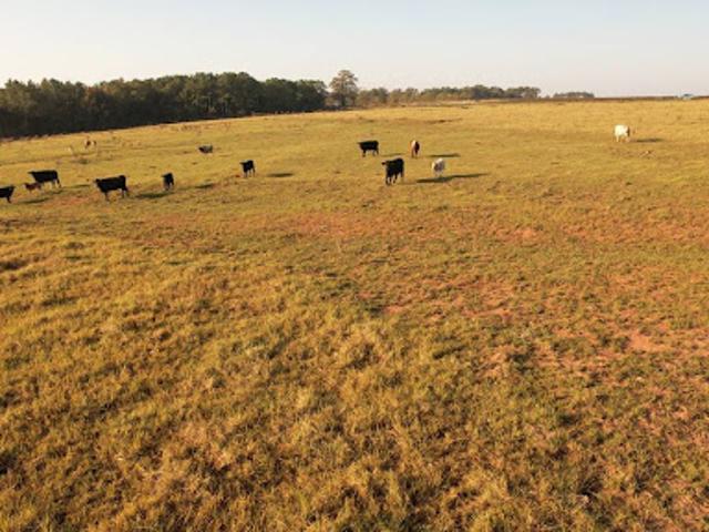 Farm for sale in Fort Gaines, Georgia
