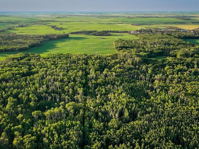 House for sale in Rosalind, Alberta