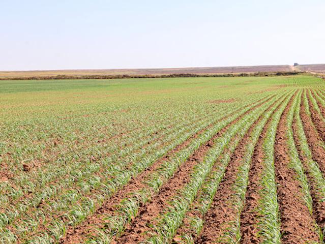 Farm for sale in Attica, Harper County