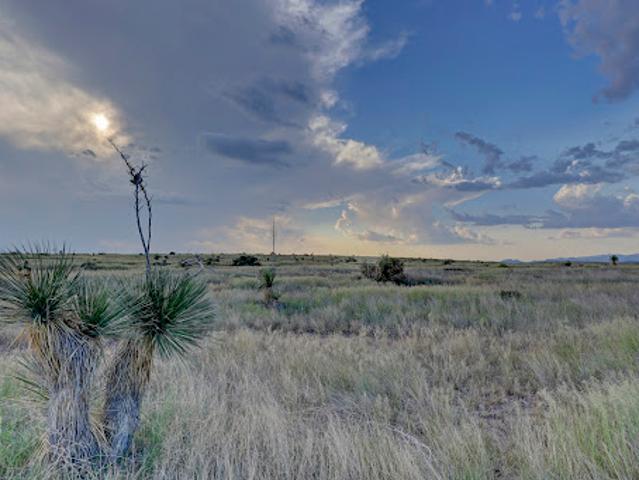 Farm for sale in Marfa, Texas